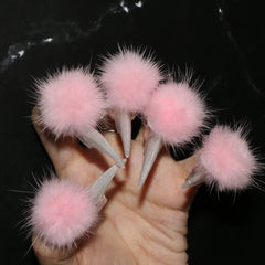 Peachy Paws