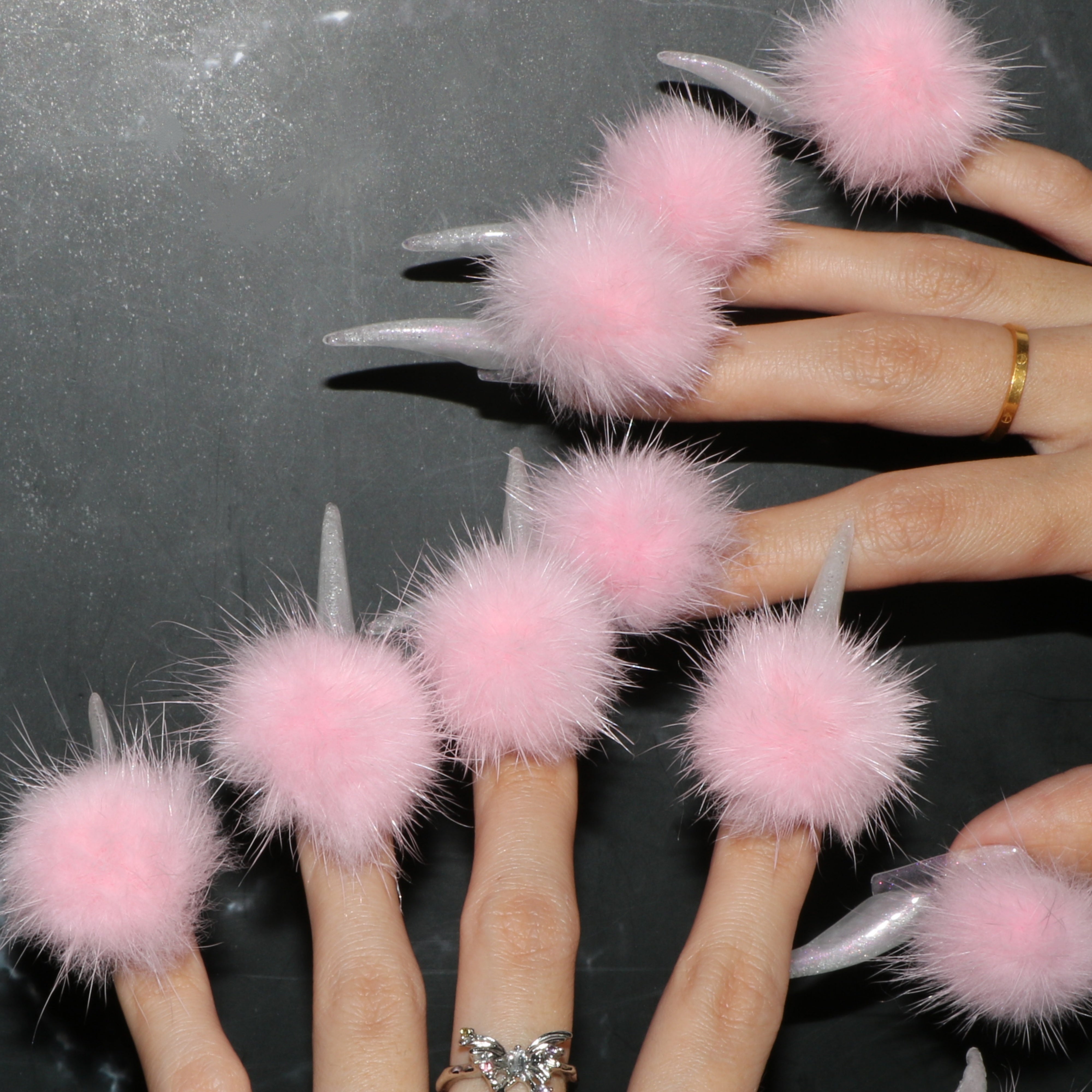 Peachy Paws
