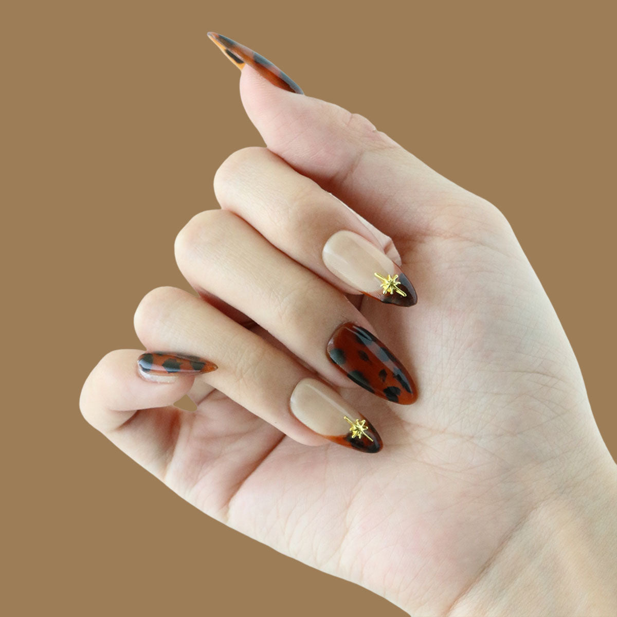Autumn Amber