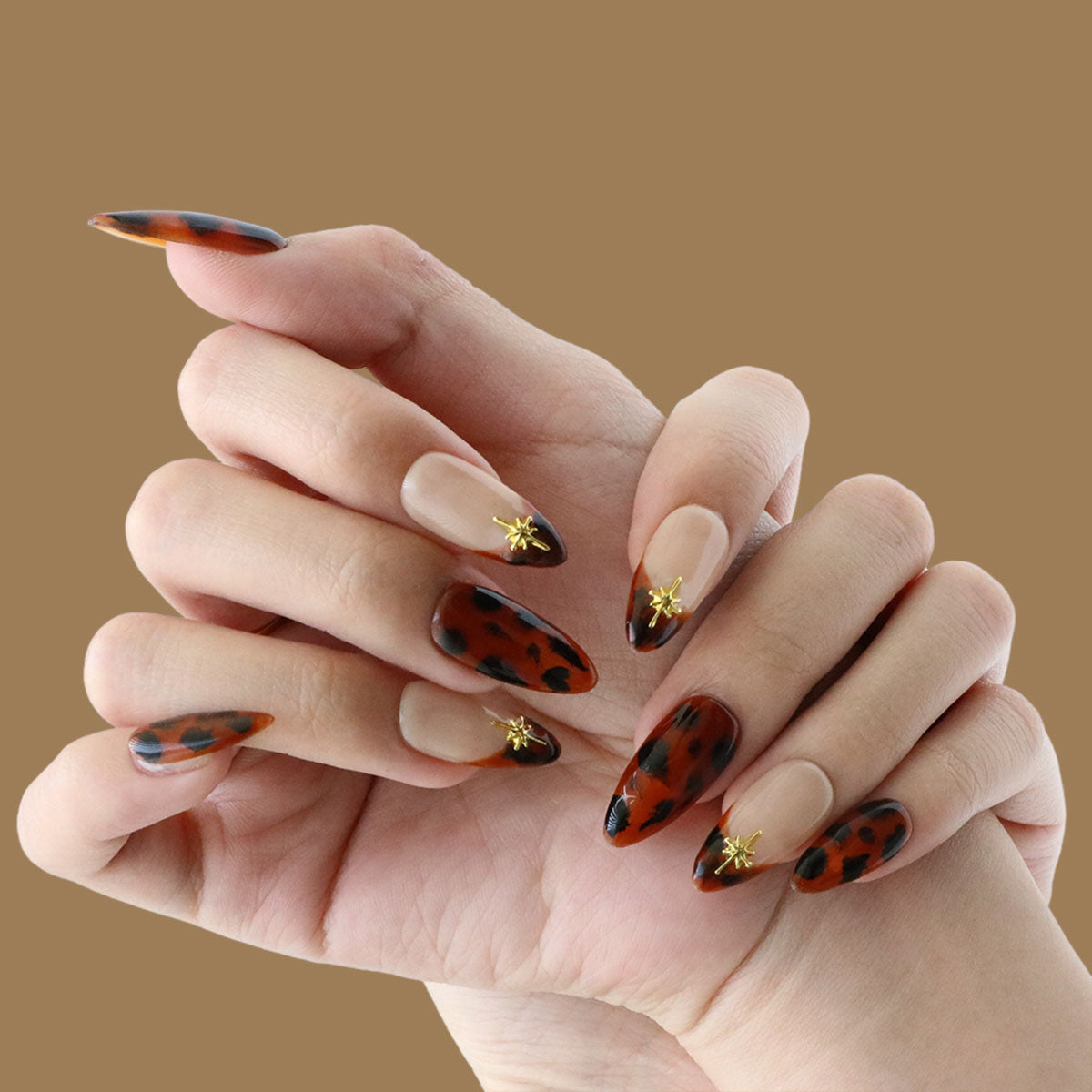 Autumn Amber