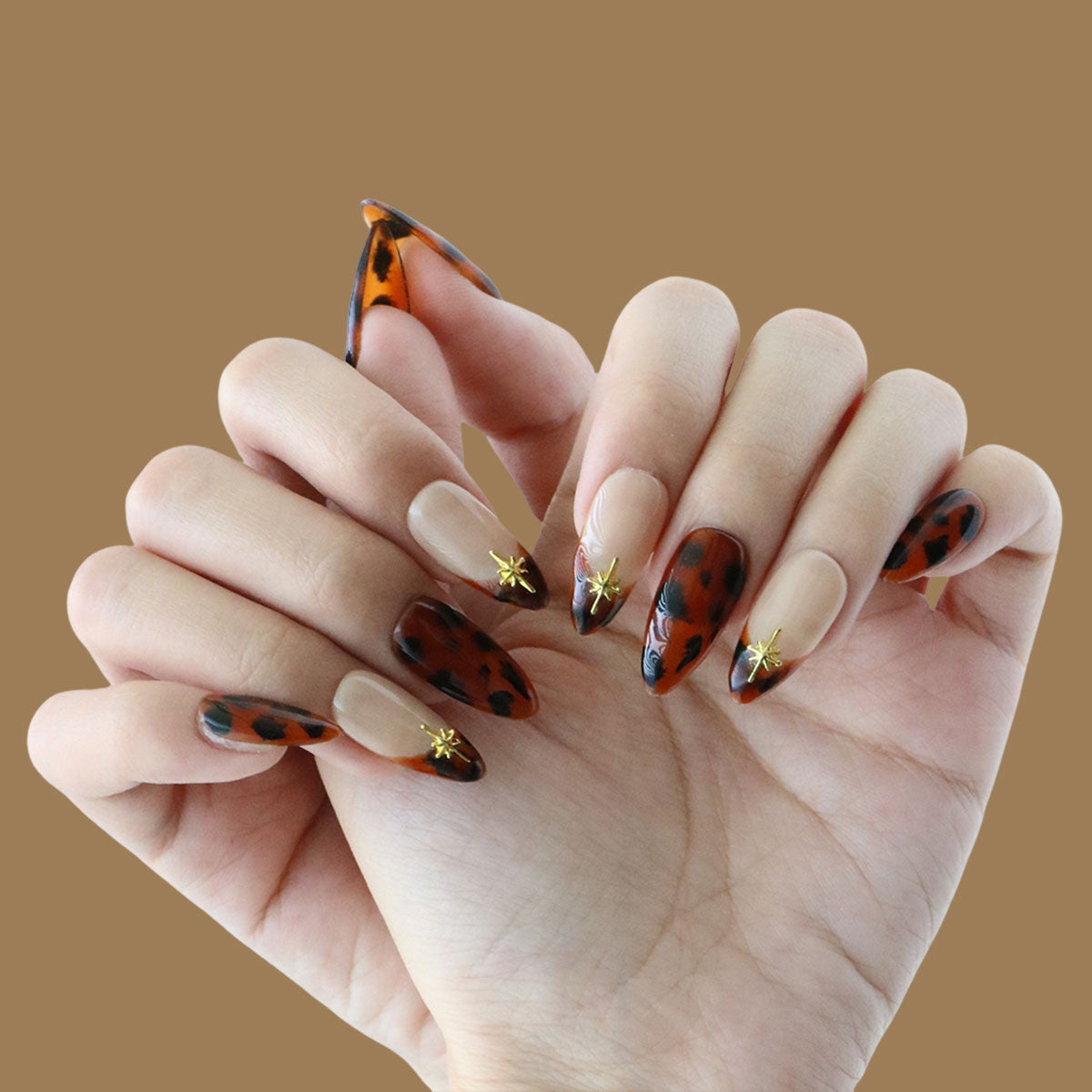Autumn Amber